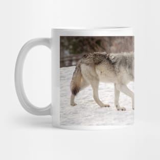 Prowling Wolf Mug